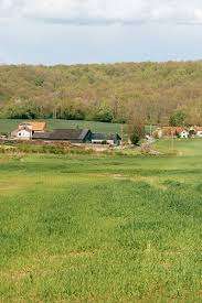 Parc de la Bergerie – Bild 3