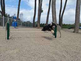 Parc de la Bergerie – Bild 4