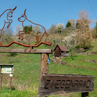 Willis Wildtierpfad – Bild 4