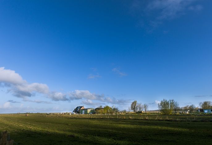 Hof Wiesengrund - Familie Johannsen – Bild 2
