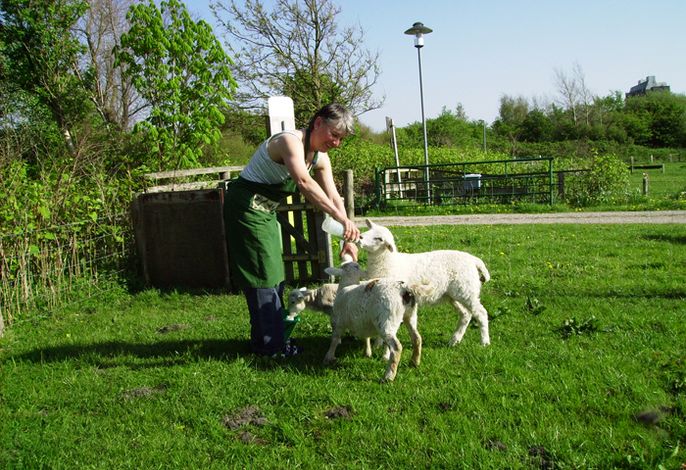 Hof Wiesengrund - Familie Johannsen – Bild 4