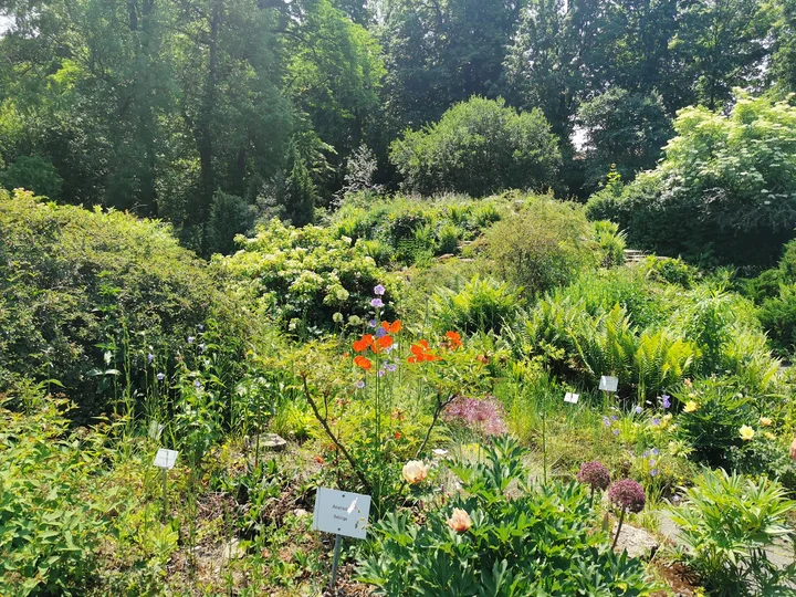 Levinscher Park – Bild 5