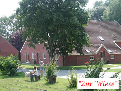 Tido Sassen – Bild 1