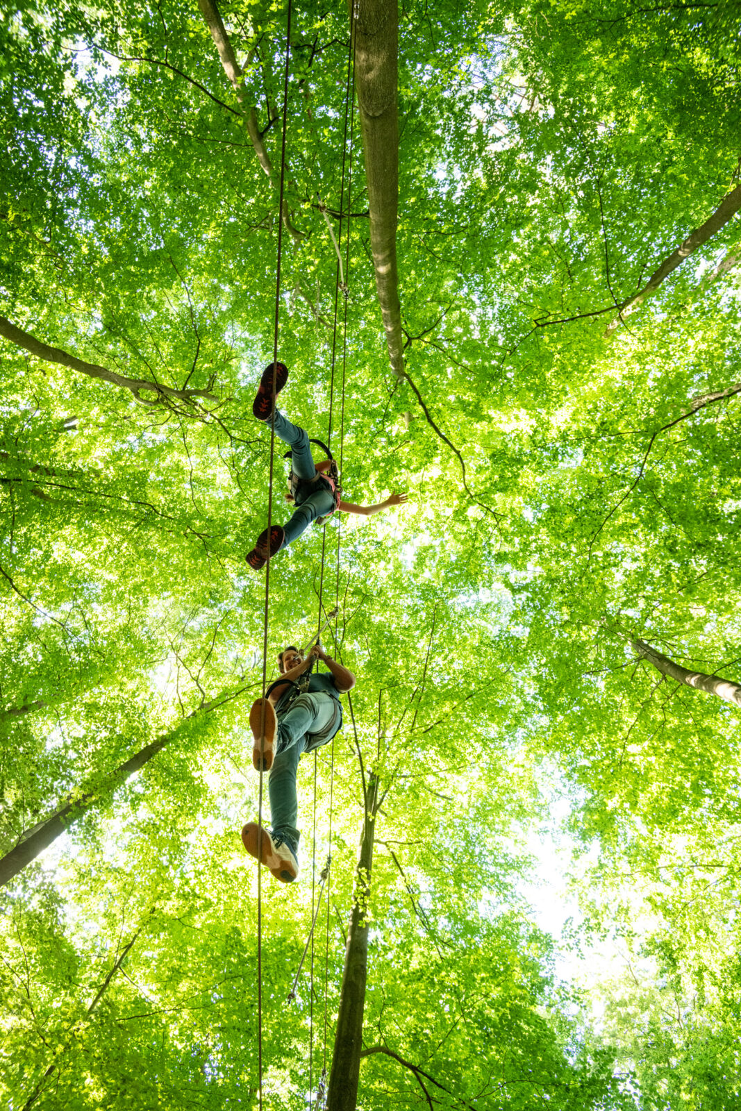 Die Freizeitmacher GmbH – Bild 3