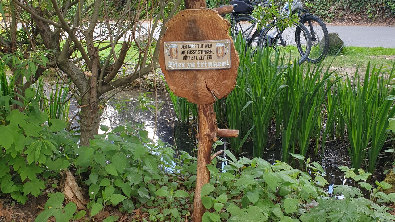 Jüppkenpark – Bild 4