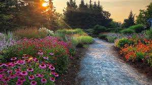 Nature Center – Bild 2