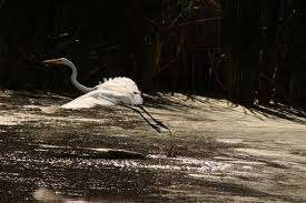 Laverdiere Park – Bild 6