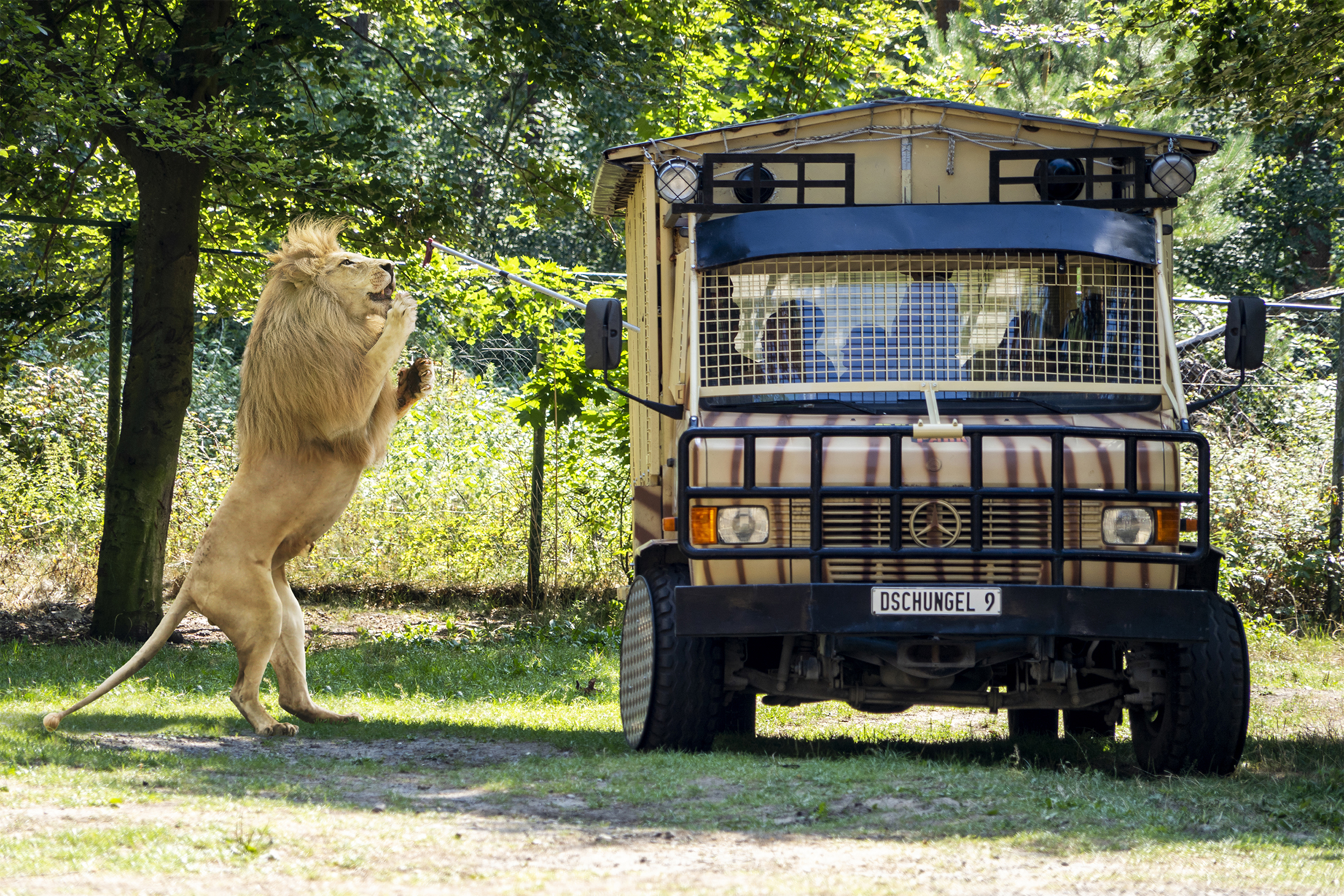 Serengeti Park Hodenhagen – Bild 2