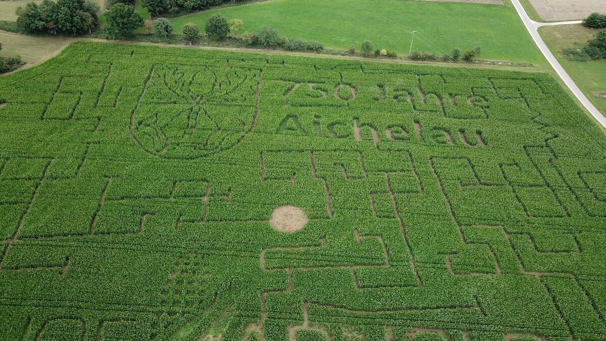 Mais Labyrinth – Bild 1