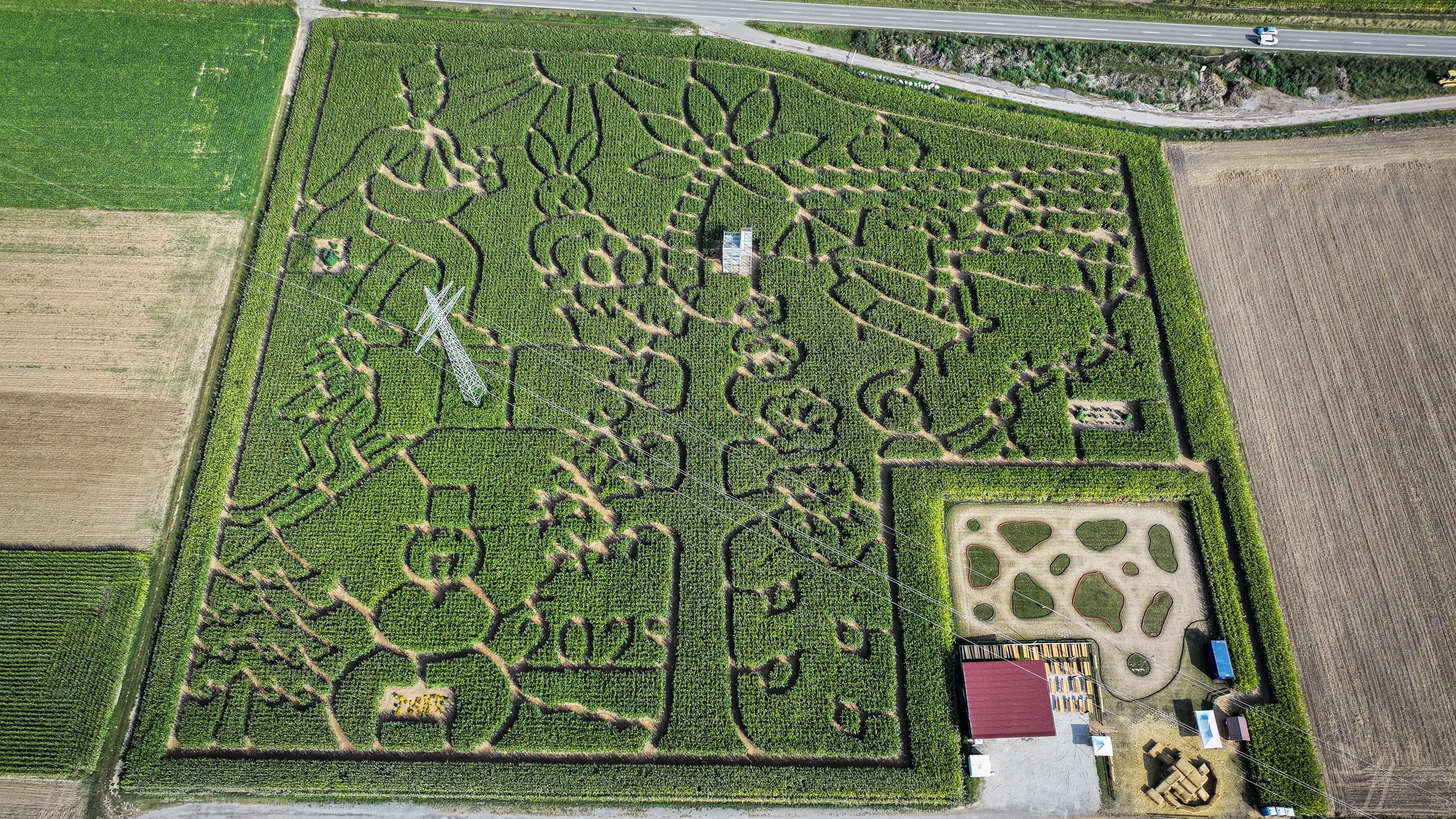 Mais Labyrinth – Bild 5