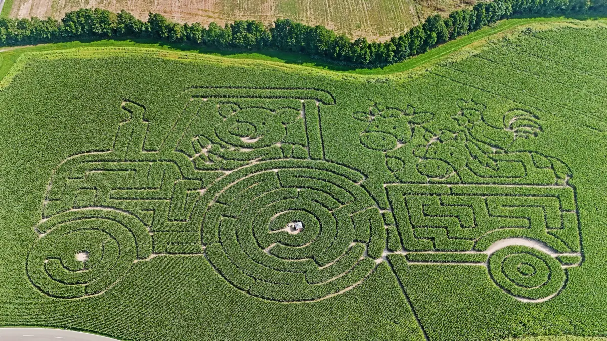 Mais Labyrinth – Bild 6