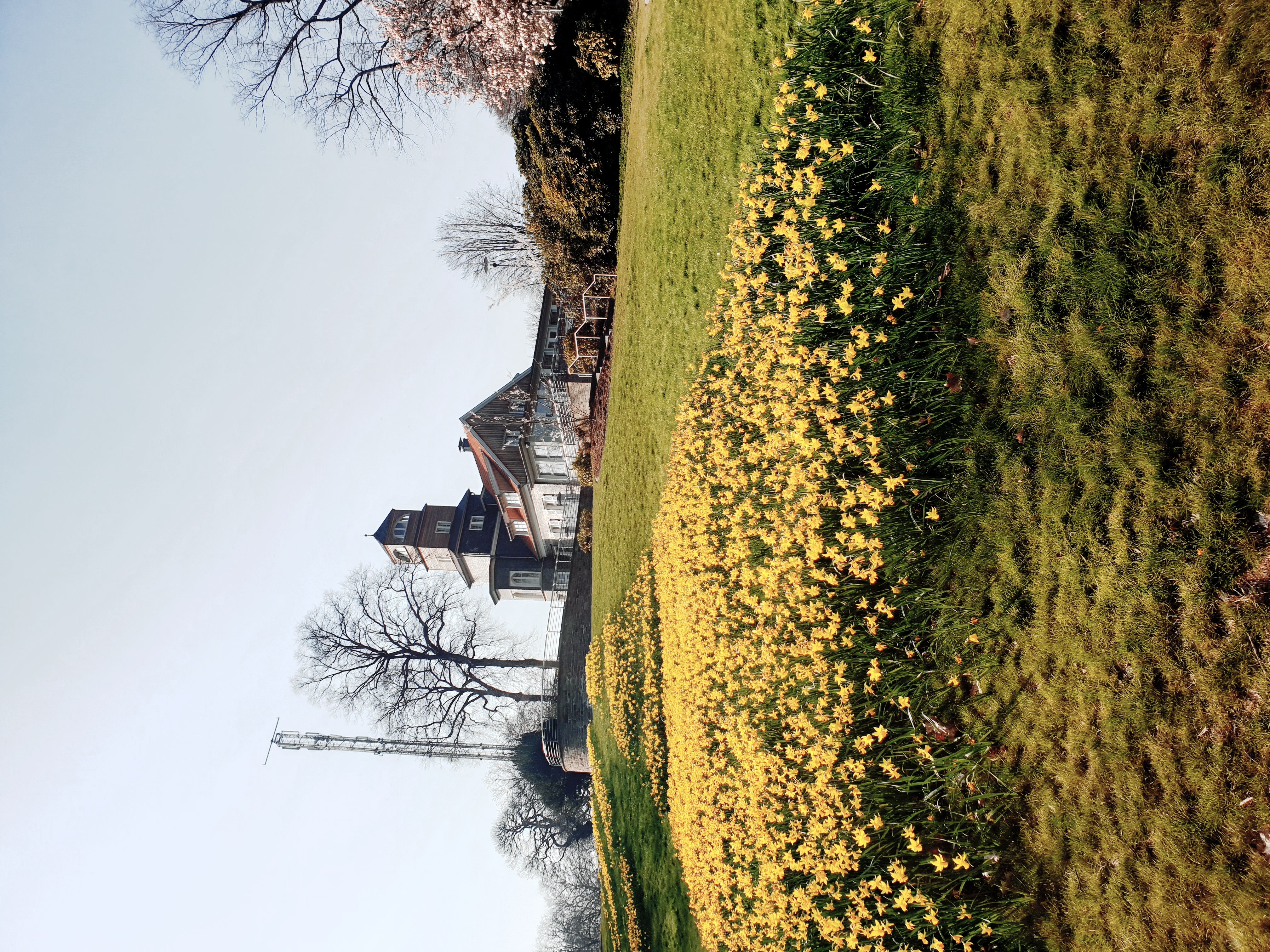 Wildgehege im Nordpark Wuppertal – Bild 3