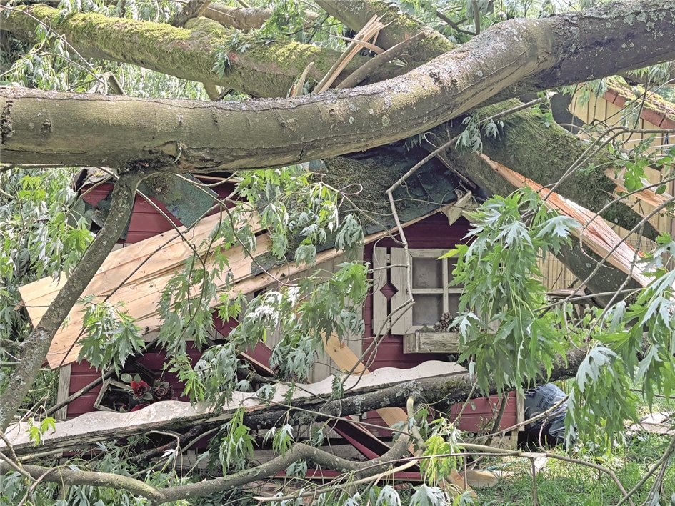 Dieter Lange – Bild 2