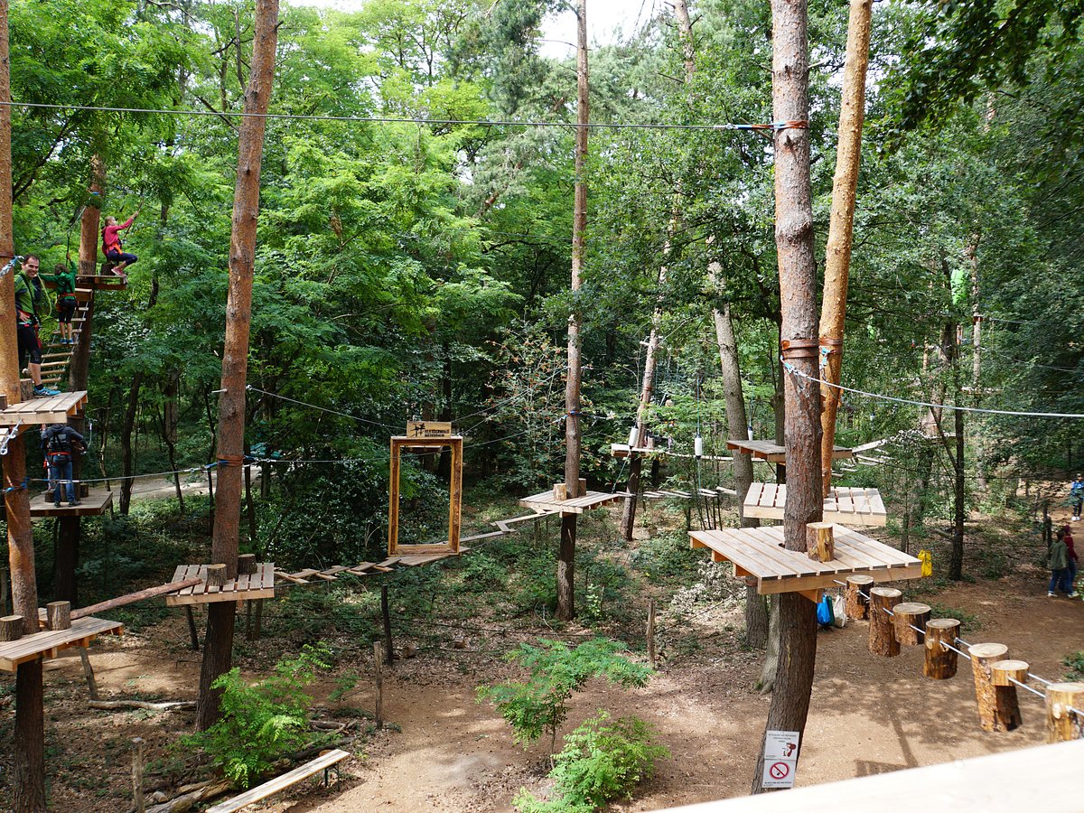 Kletterwald Niederrhein – Bild 1