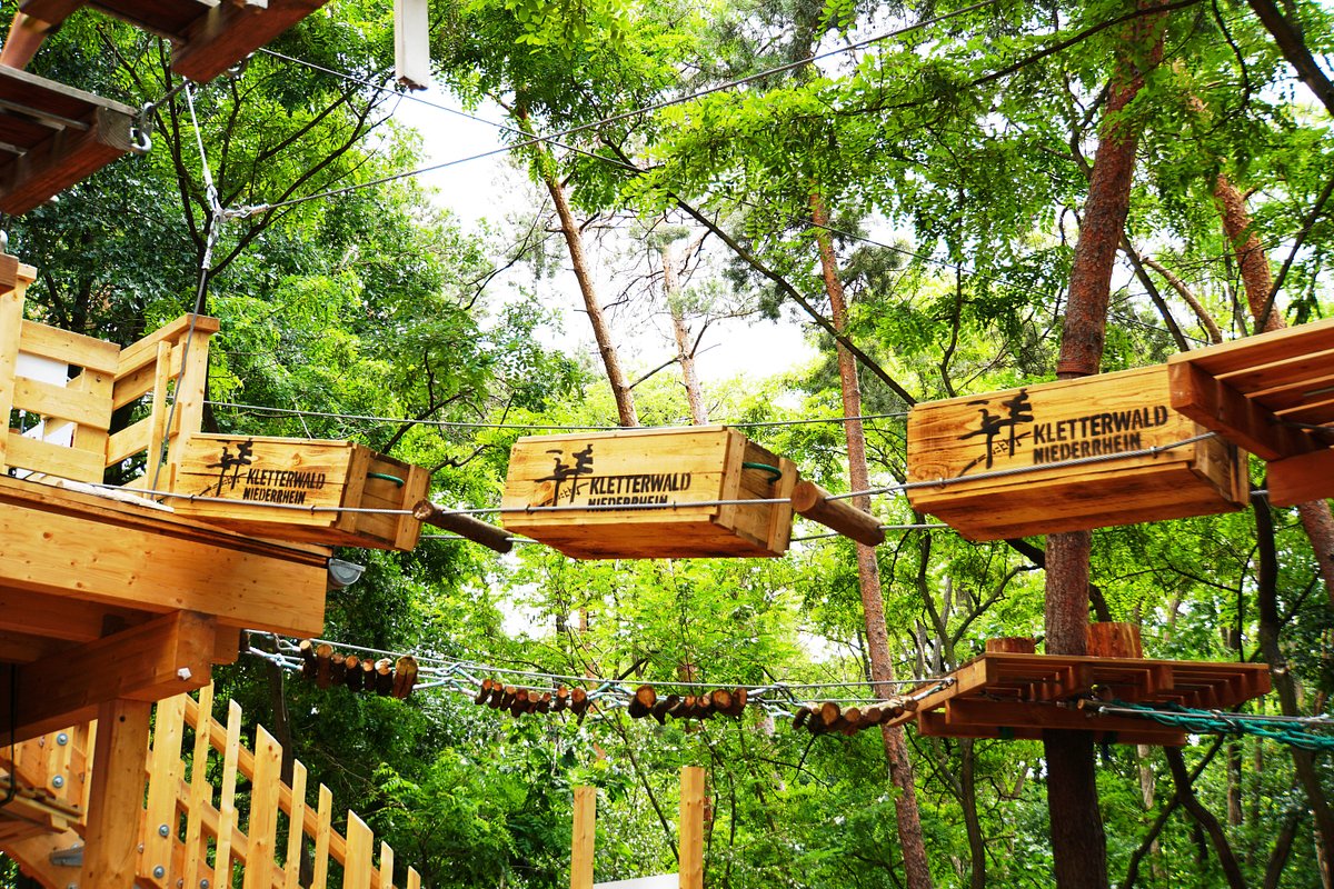 Kletterwald Niederrhein – Bild 2