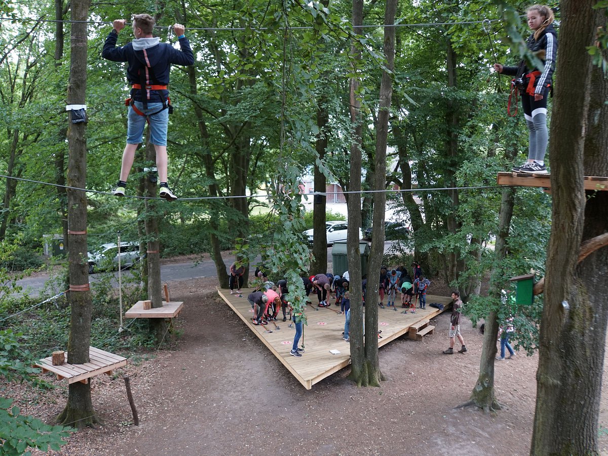 Kletterwald Niederrhein – Bild 3