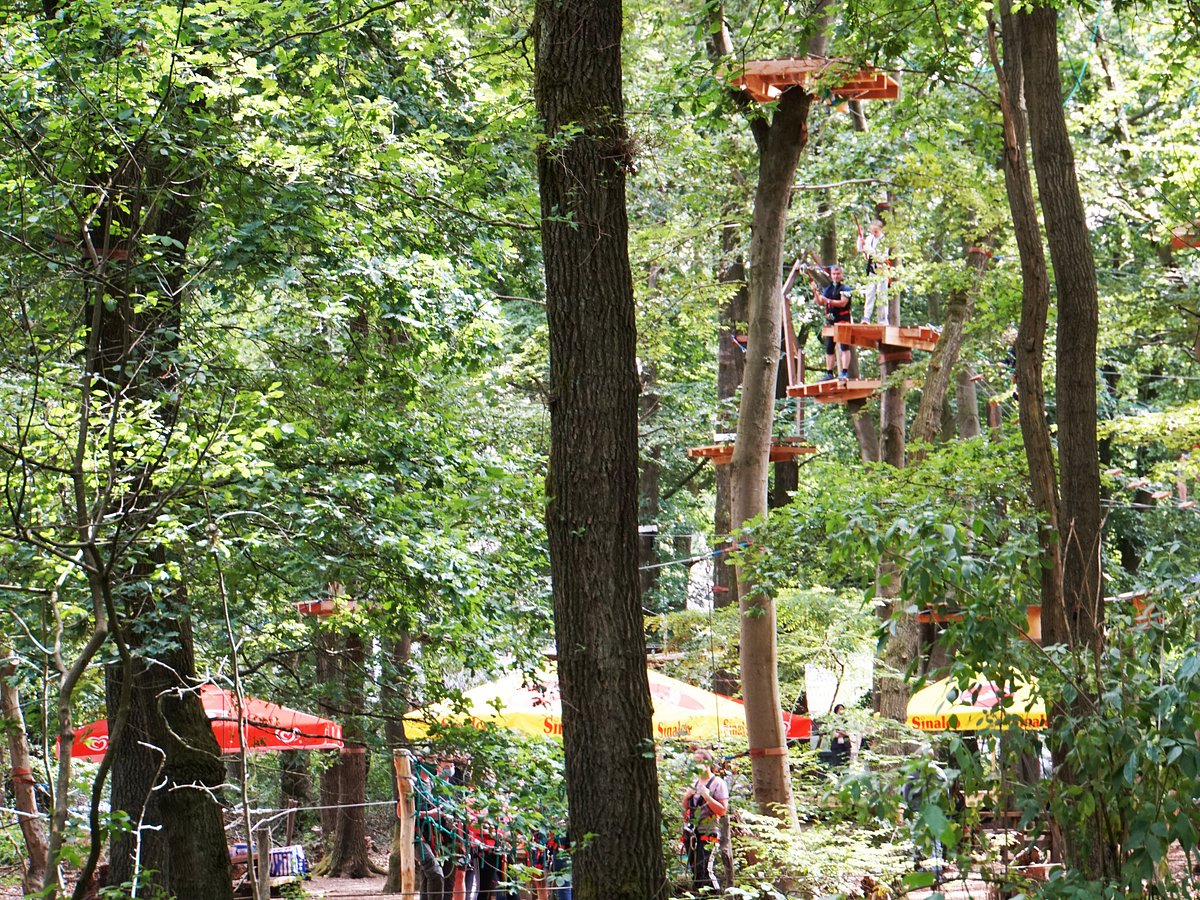 Kletterwald Niederrhein – Bild 4