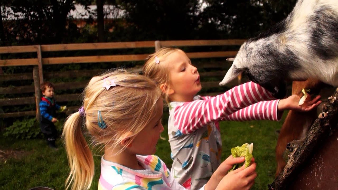 Ferienhof Andresen Nordsee – Bild 5