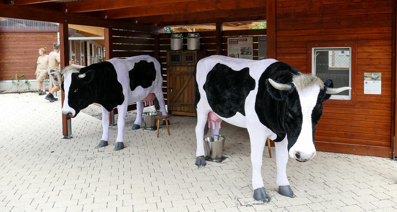 Bauernhof Pfaffengrund – Bild 2