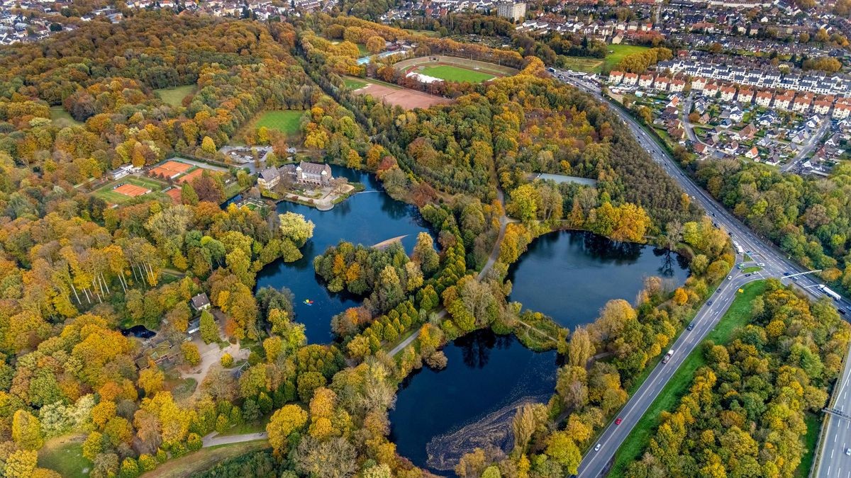 Naherholungsgebiet Wittringer Wald – Bild 6