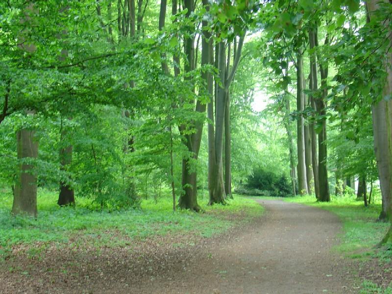 Bad Oeynhausener Schweiz – Bild 2