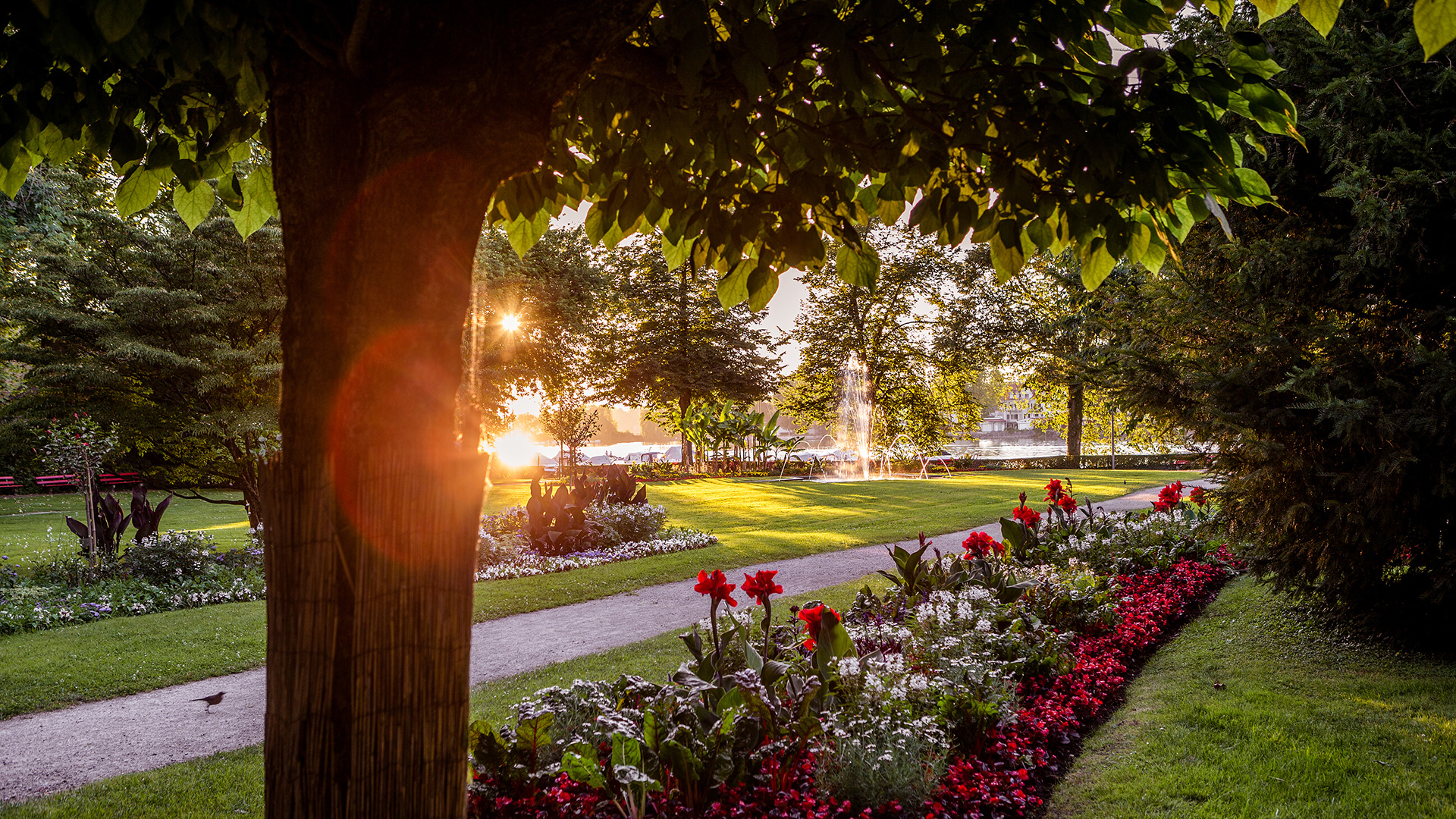 Lindau Park im Bodensee – Bild 3