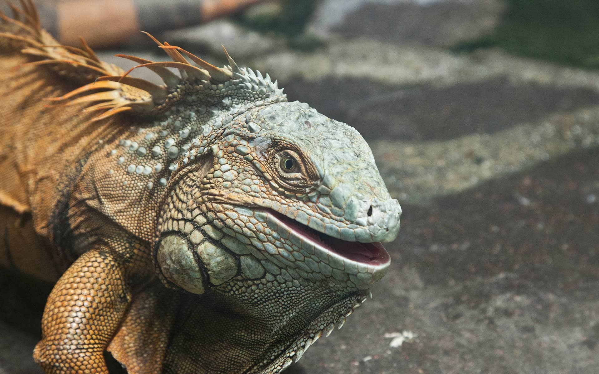 Tiergarten Ulm – Bild 2