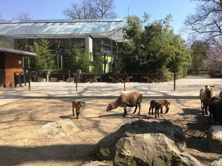 Tiergarten Ulm – Bild 4