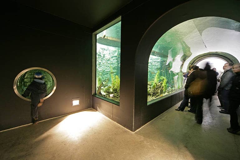 Tiergarten Ulm – Bild 5