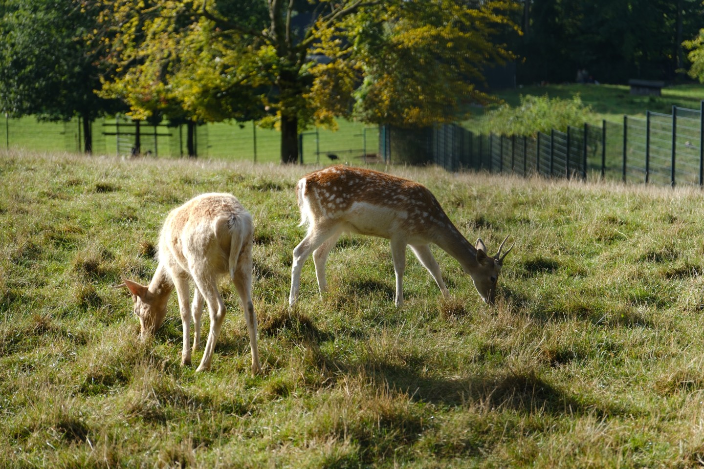 Naturerlebnis Höxberg – Bild 5