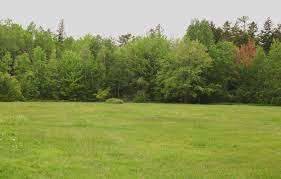 Reading Street Park – Bild 2