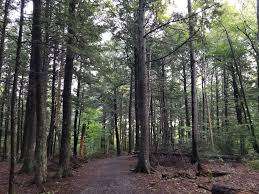 Reading Street Park – Bild 5