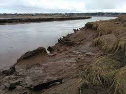 Lewis Park – Bild 3