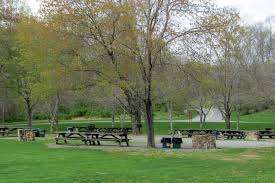 Lewis Park – Bild 4