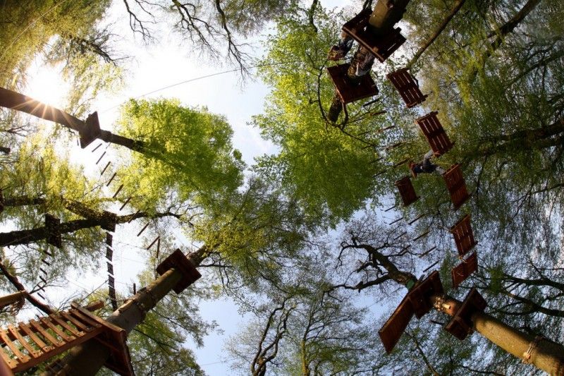 Kletterwald Gießen – Bild 4