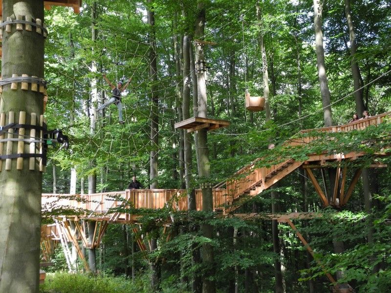 Kletterwald Gießen – Bild 5