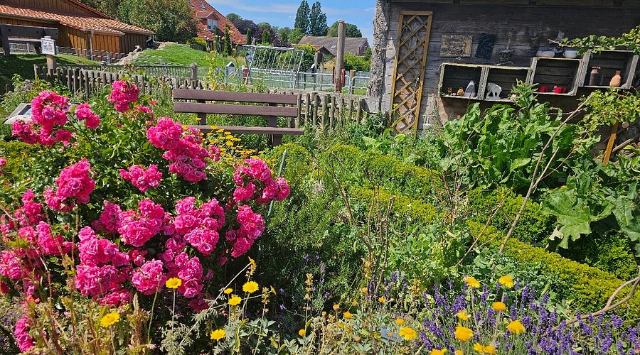 Haustierpark Werdum – Bild 5