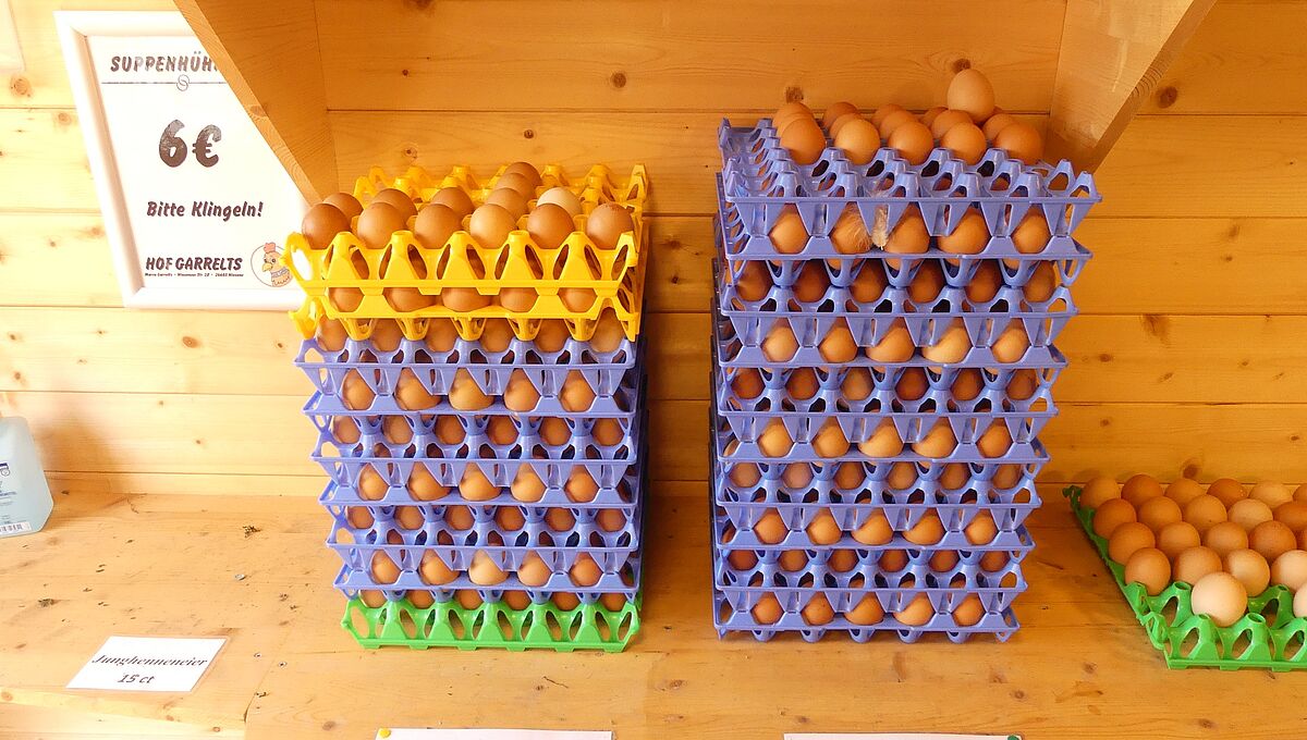 Hof Garrelts – Bild 3