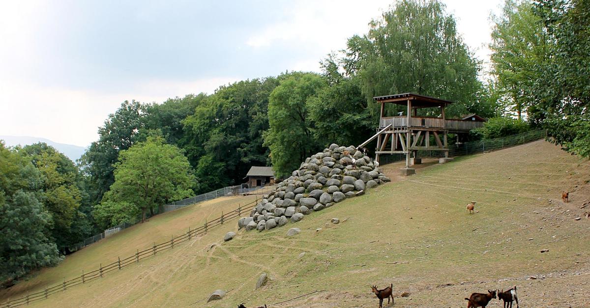 Bergtierpark Fürth-Erlenbach – Bild 2