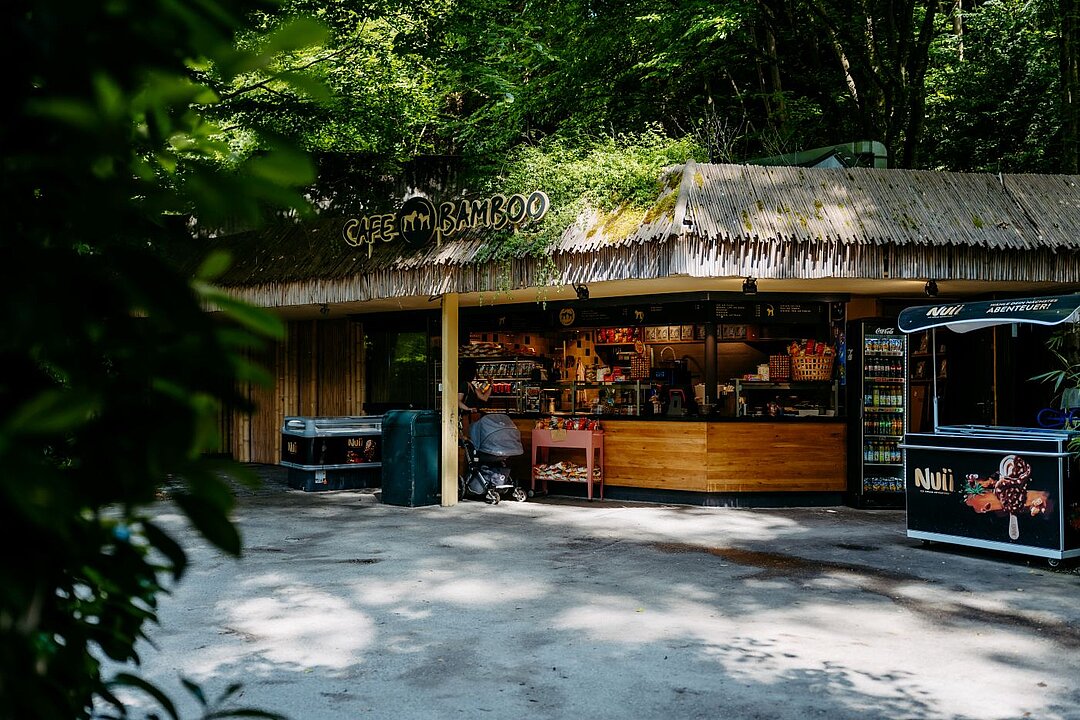 Flamingo Eingang Tor 7 – Bild 4