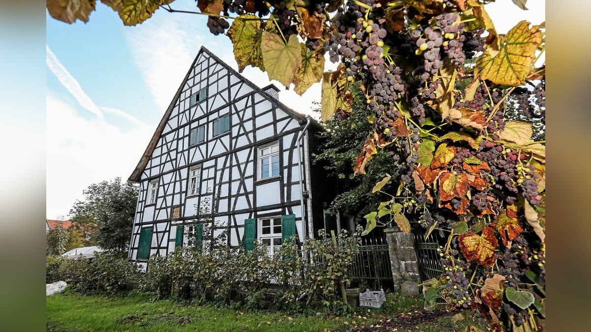 Biohof Felchner – Bild 2