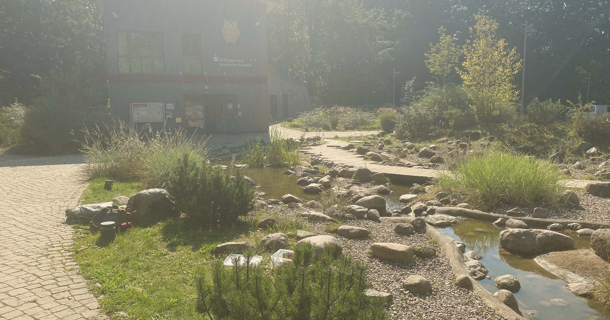 Erlebnis Bungsberg – Bild 2