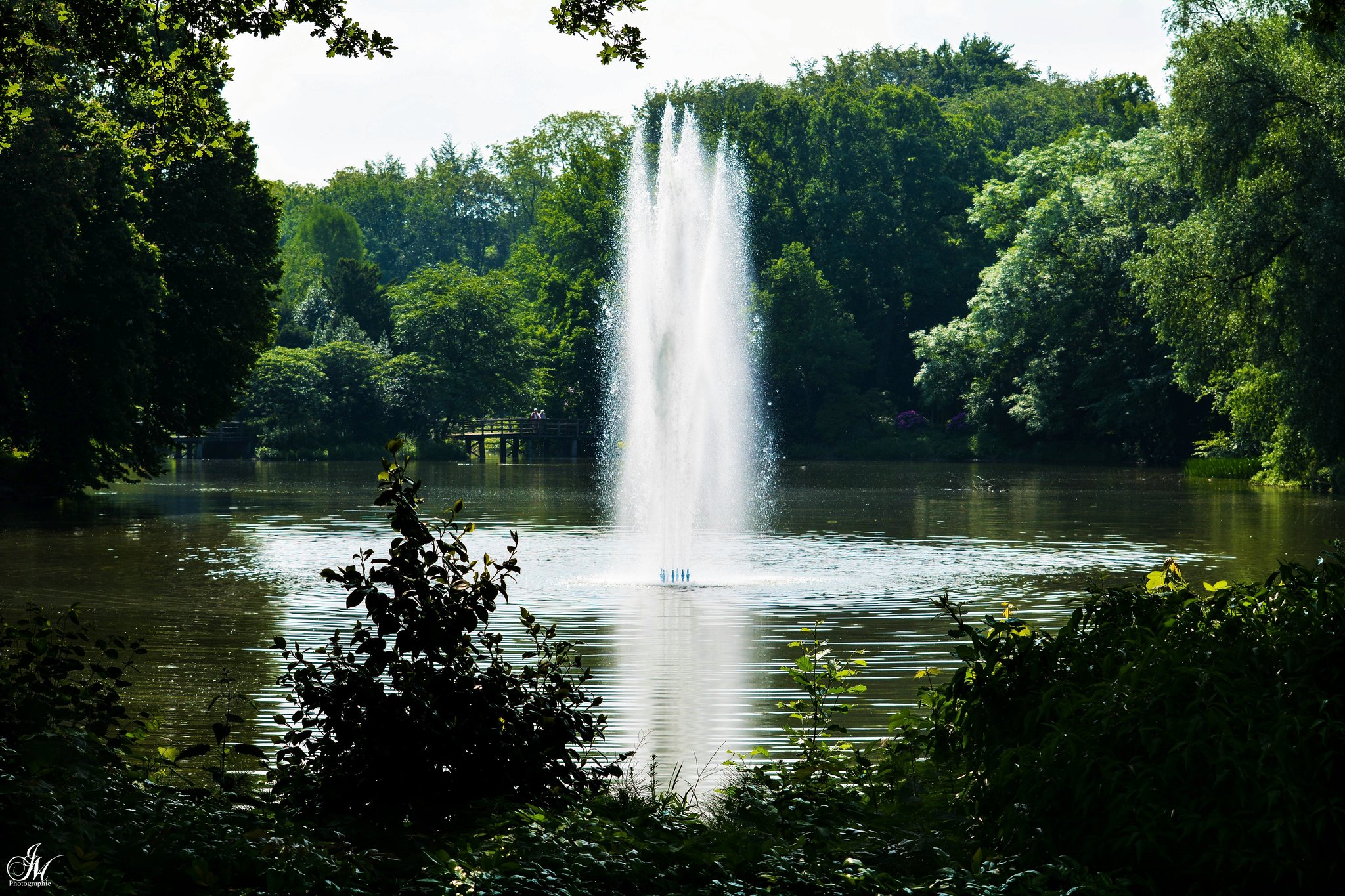 Lohmühlenteich – Bild 1