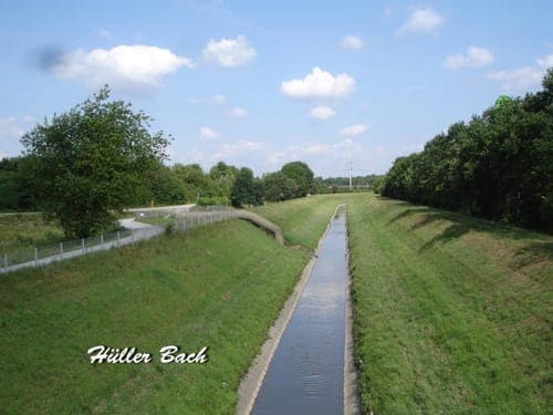 Lohmühlenteich – Bild 3