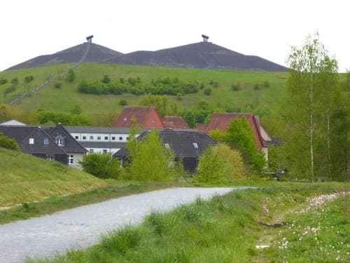 Lohmühlenteich – Bild 4