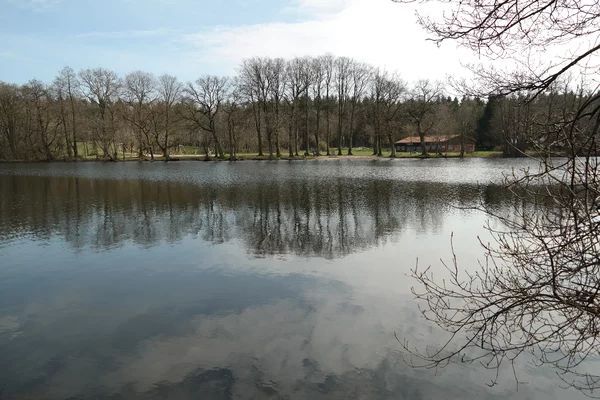 Lohmühlenteich – Bild 6