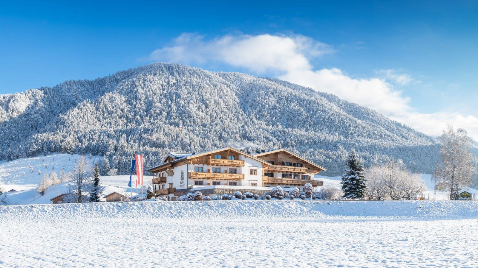 Schörhof Saalfelden – Bild 2