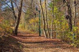 Parc Guillemette – Bild 4