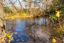 Parc Guillemette – Bild 5