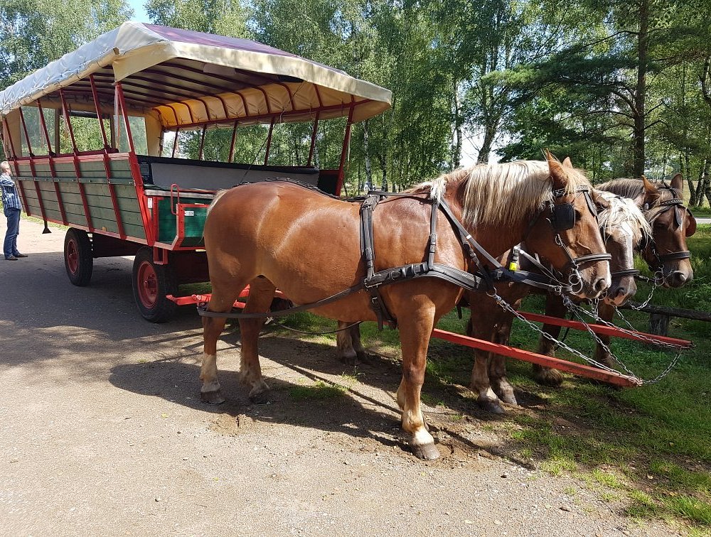 Nemitzer Heidehaus – Bild 3